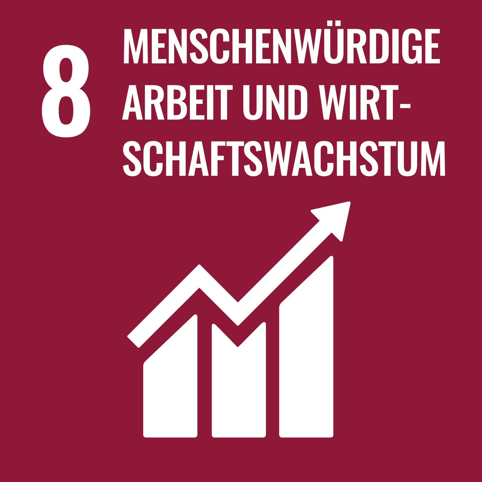 SDG 8