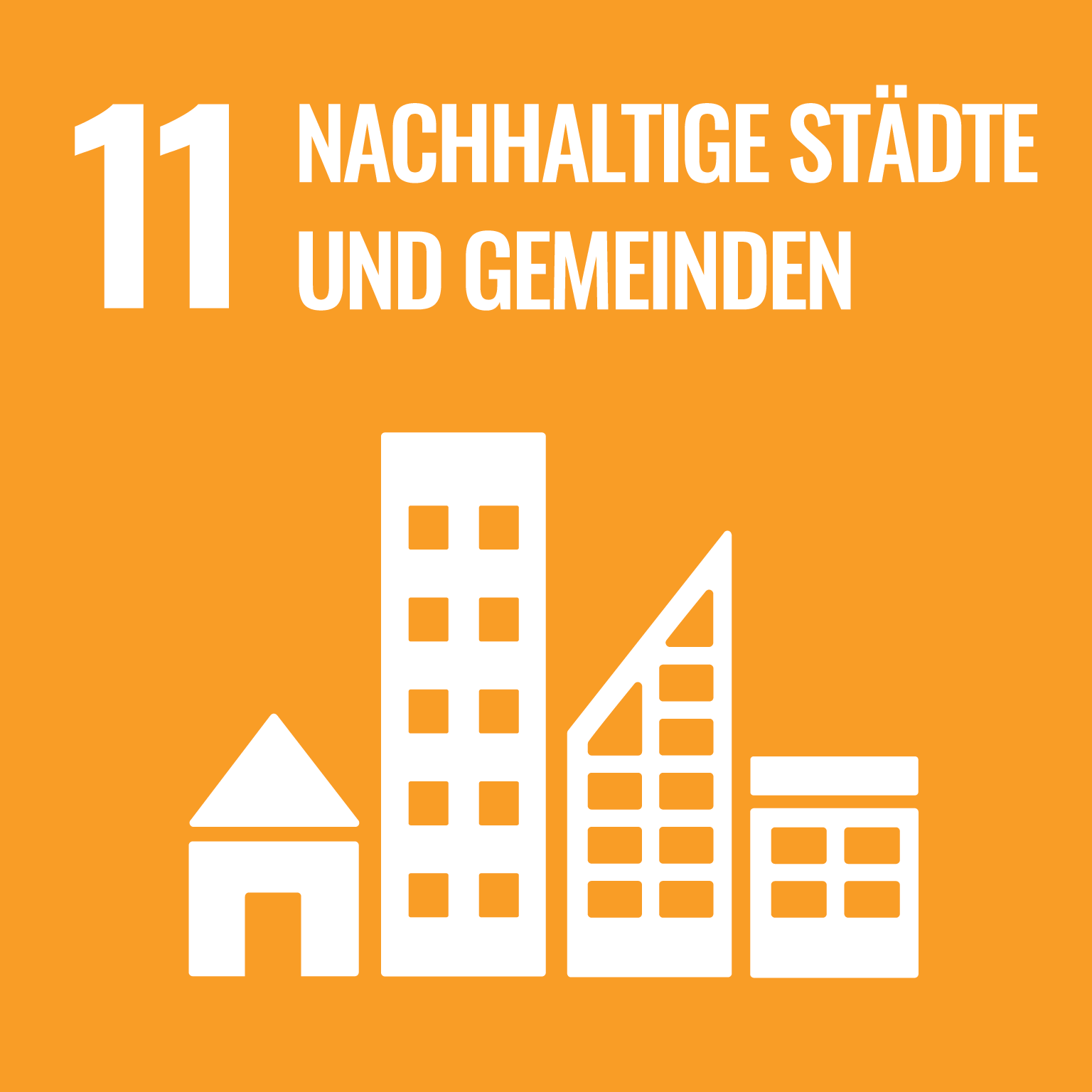 SDG 11