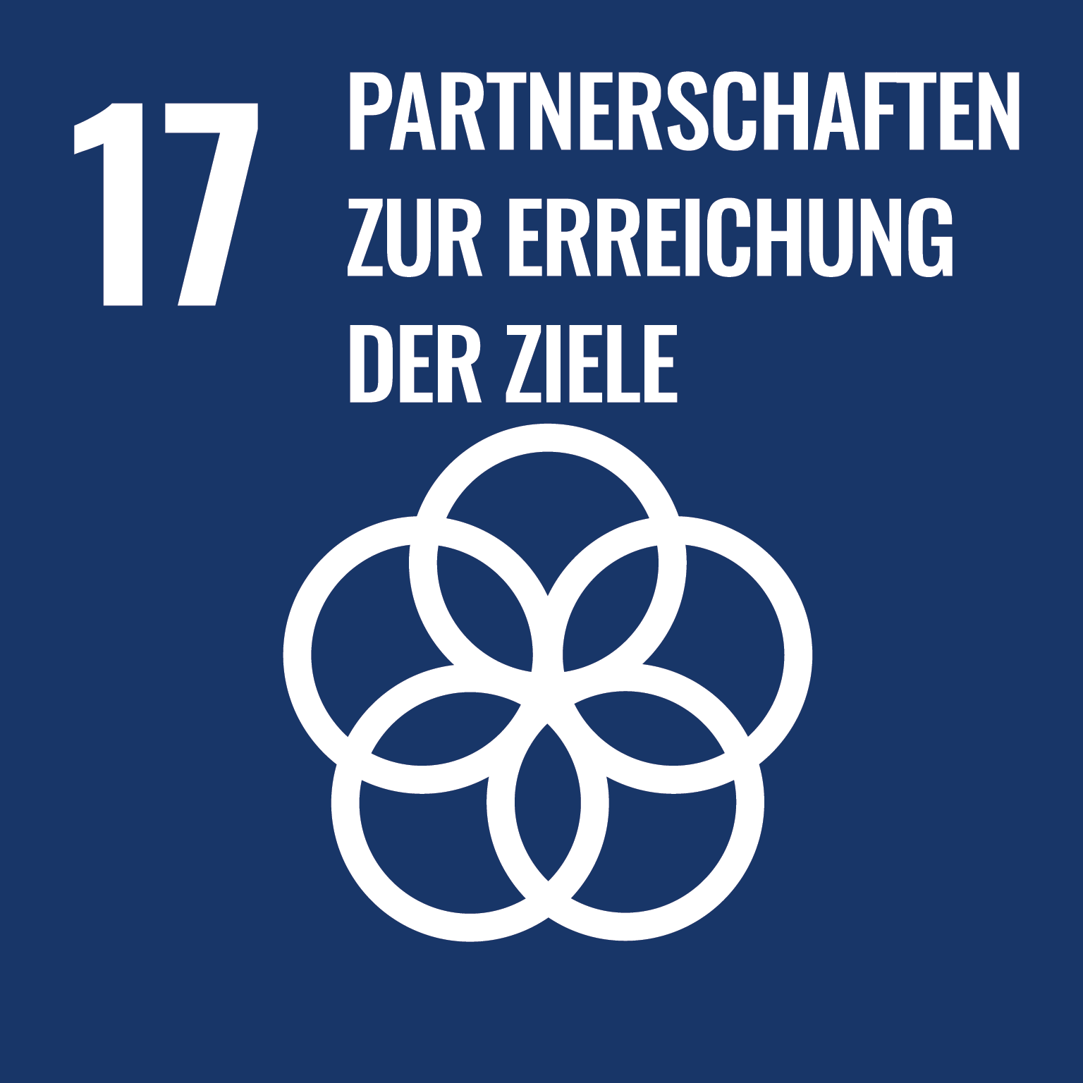 SDG 17